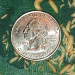 Size of newborn BSF larvae relative to a US quarter